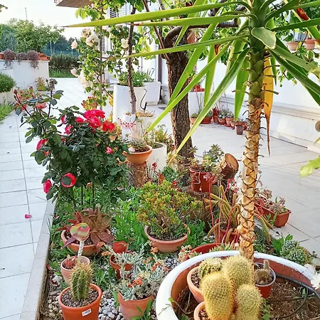 Bilocale Tra E Riccione * リミニ