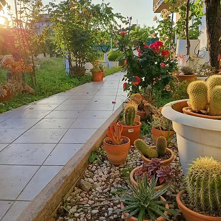 Apartman Bilocale Tra E Riccione *